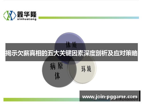揭示欠薪真相的五大关键因素深度剖析及应对策略