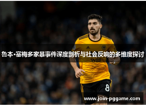 鲁本·塞梅多家暴事件深度剖析与社会反响的多维度探讨