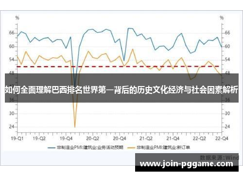 如何全面理解巴西排名世界第一背后的历史文化经济与社会因素解析